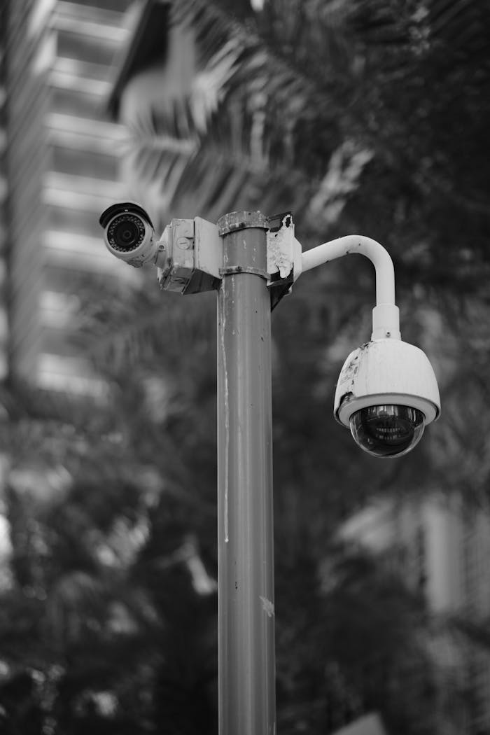 services-02 Black and white photo of security cameras on a pole in downtown Qatar.